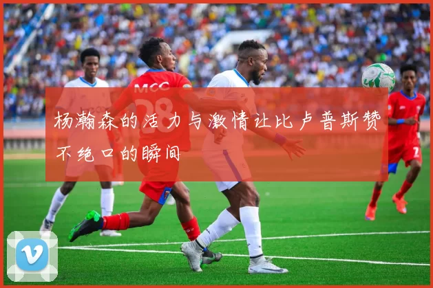 杨瀚森的活力与激情让比卢普斯赞不绝口的瞬间