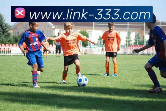 333体育APP 高清赛事图